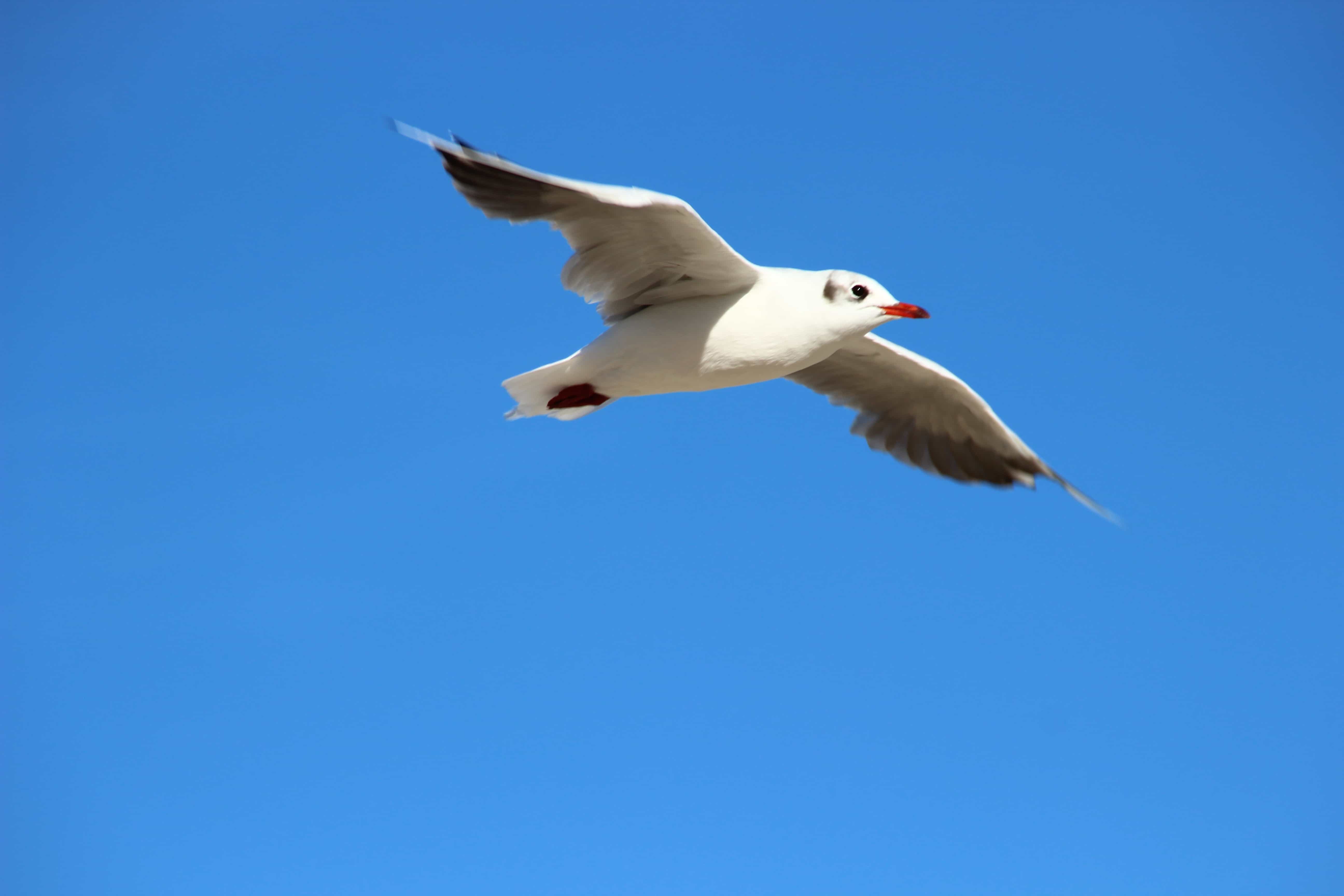 Hintergrundbild